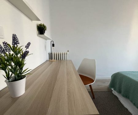 Coliving_Madrid_Hilarion-Eslava_Habitacion-2_003